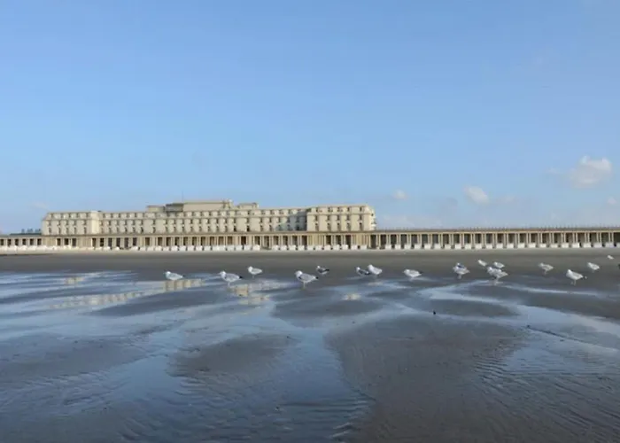 Francine 奥斯滕德