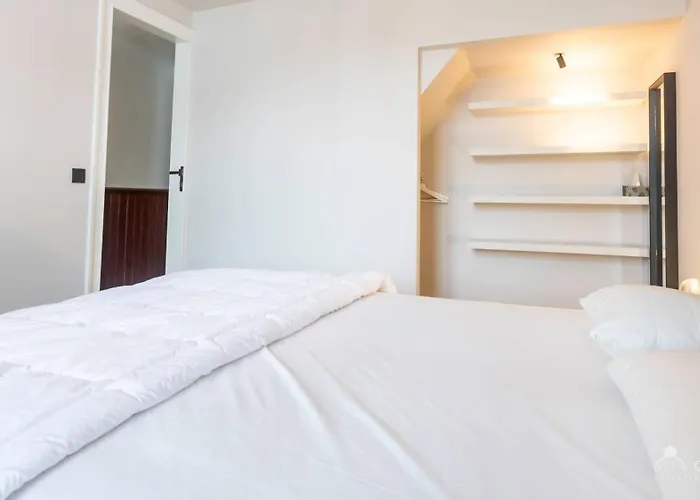 Francine 奥斯滕德